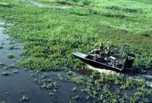 Airboats